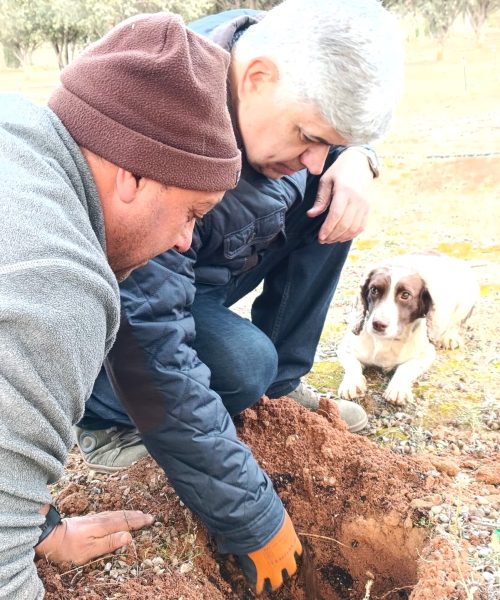 WhatsApp Image 2025-12-10 at 20.05.44_3f986658